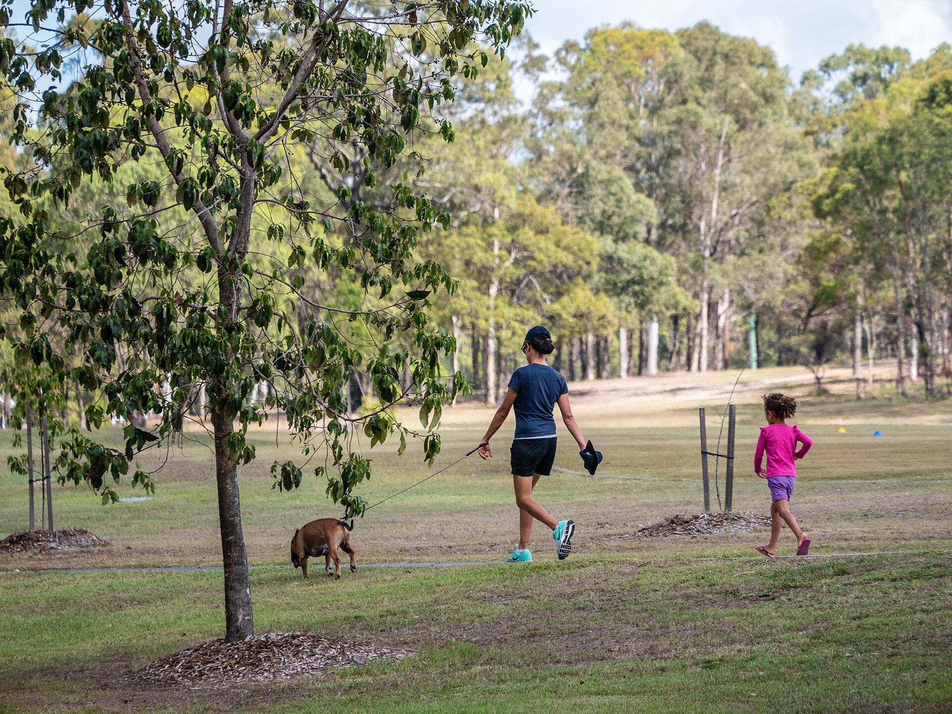 A person walking outdoors on a green park path
